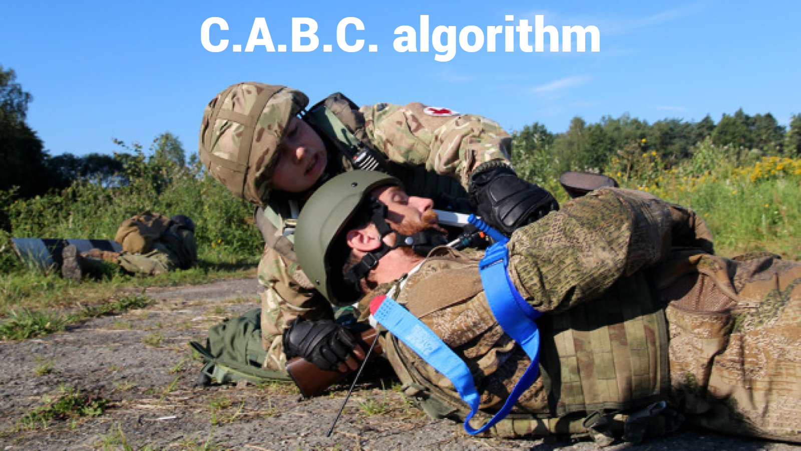 С.А.В.С. algorithm