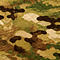 Multicam
