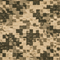 Pixel